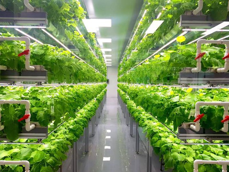 生物技术转让