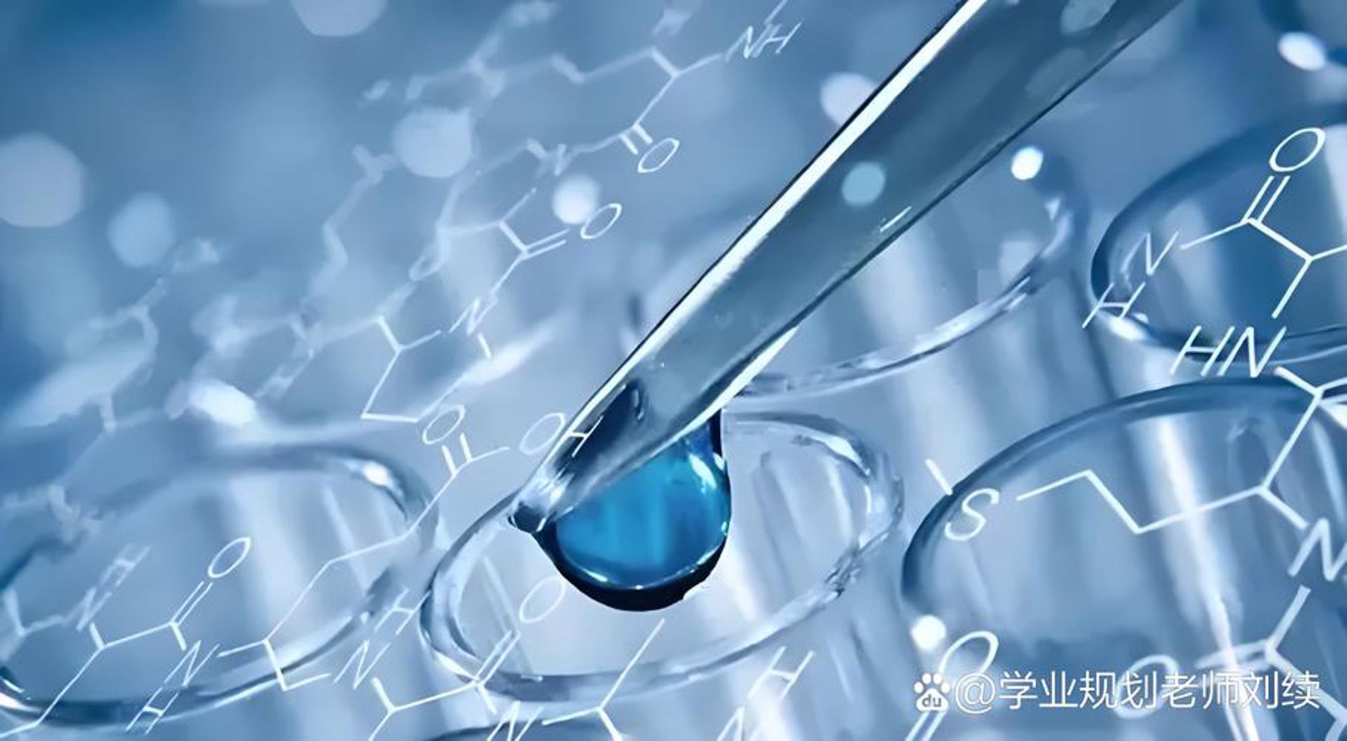 辰农生物技术