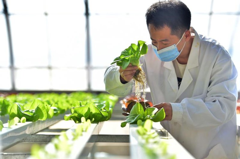 生物技术：服务推动创新