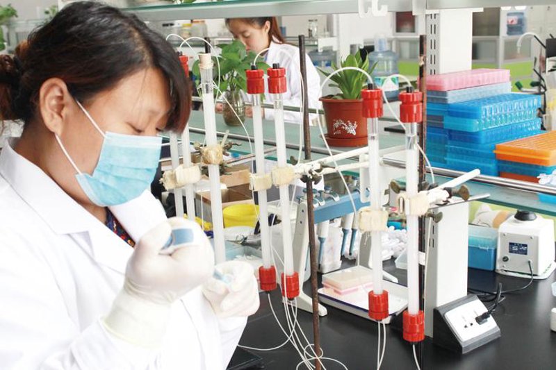 生物技术转让的产业趋势与应用场景