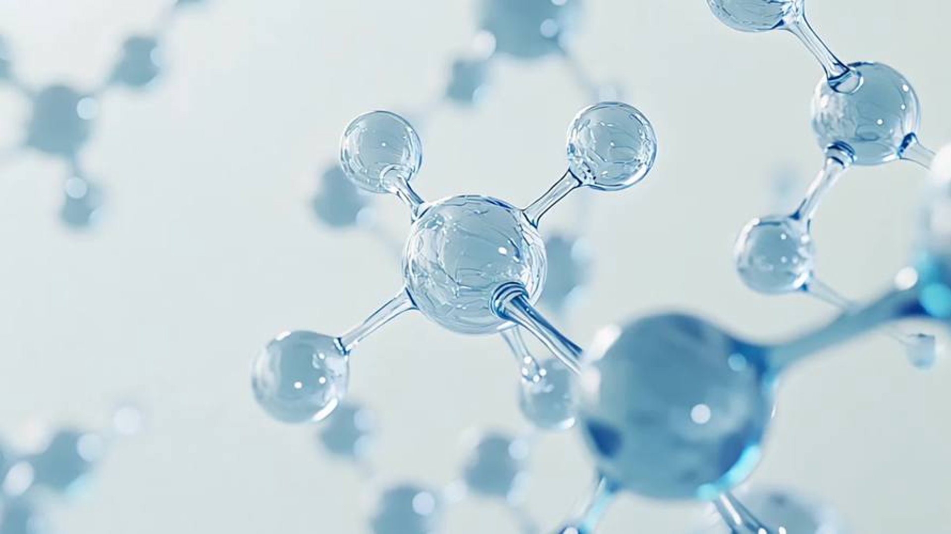 辰农生物技术